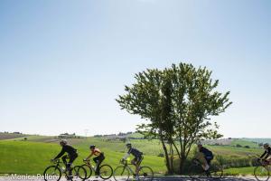 villacattani it bike-hotel-a-pesaro 015